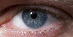 Augendiagnose und Irisdiagnose Heilbronn